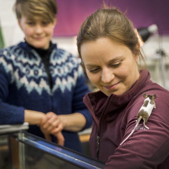 Nainen hiiri olkapäällään, toinen nainen taustalla.