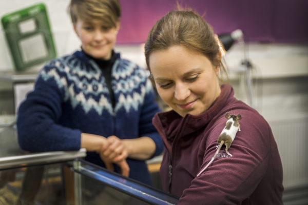 Nainen hiiri olkapäällään, toinen nainen taustalla.