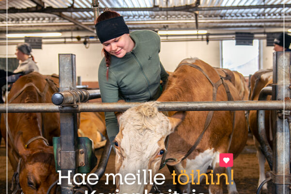 Hae meille töihin: Karjanhoitaja