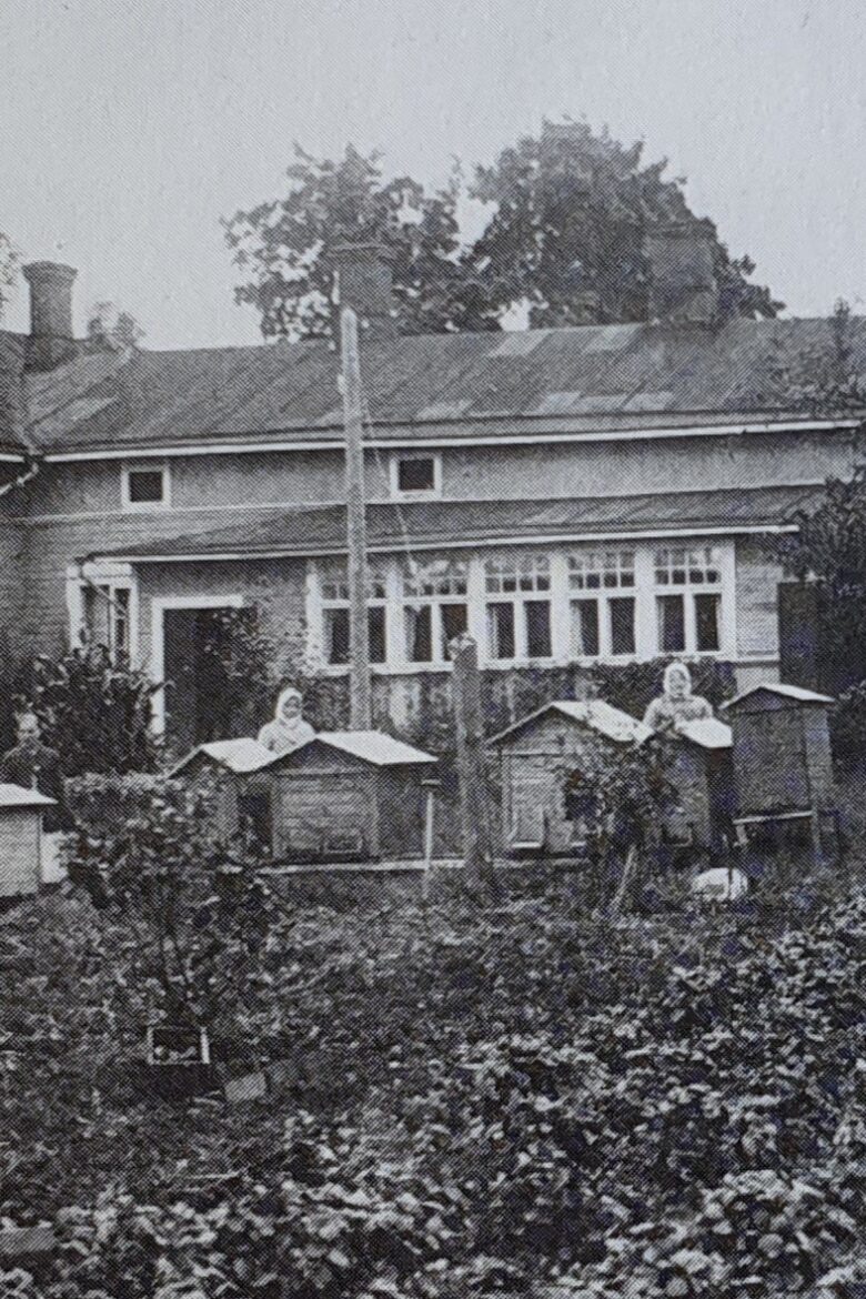 Historiallinen kuva Ahlmanin emäntäkoulun opiskelijoista tarhaamassa mehiläisiä.