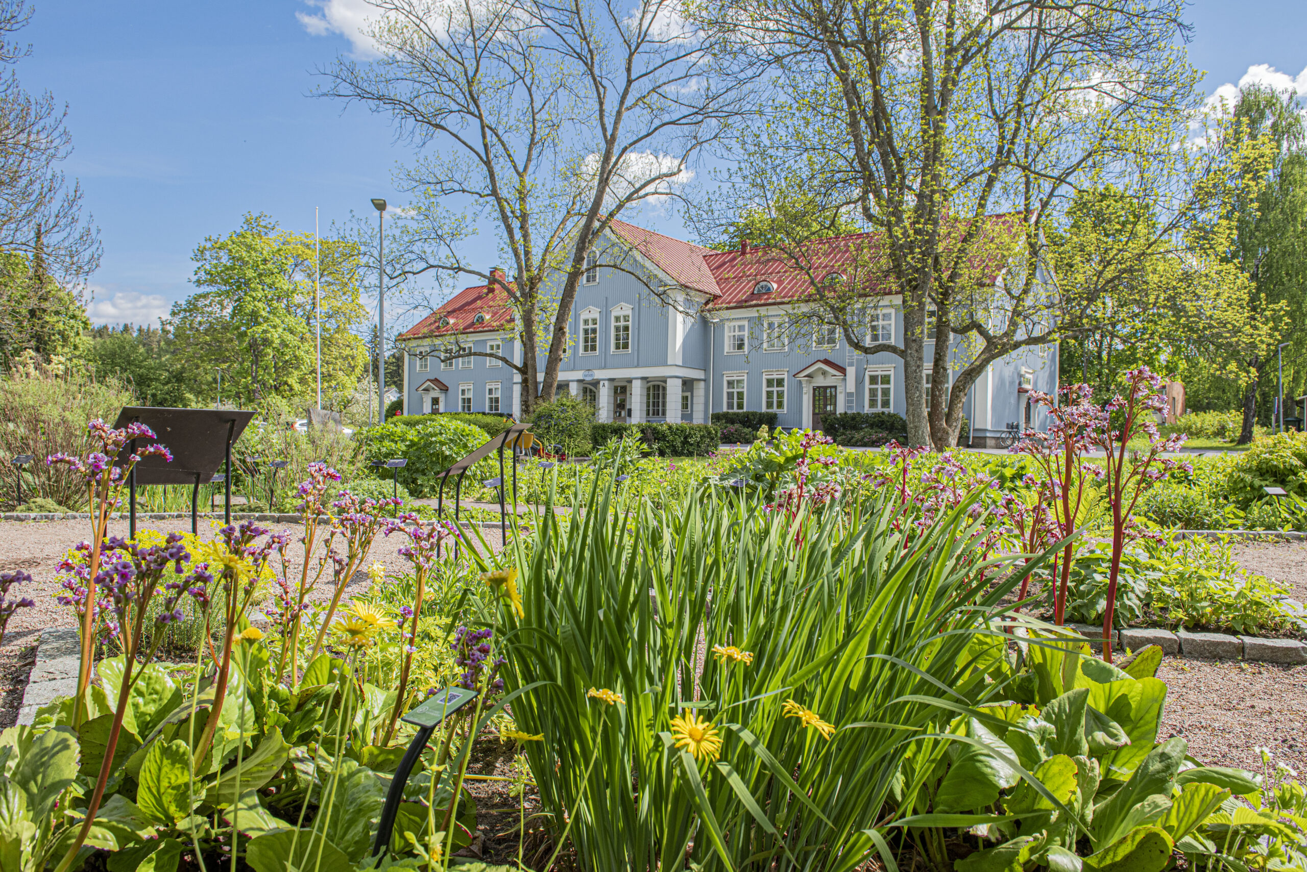 AhlmanEdu Kartano Tampereella