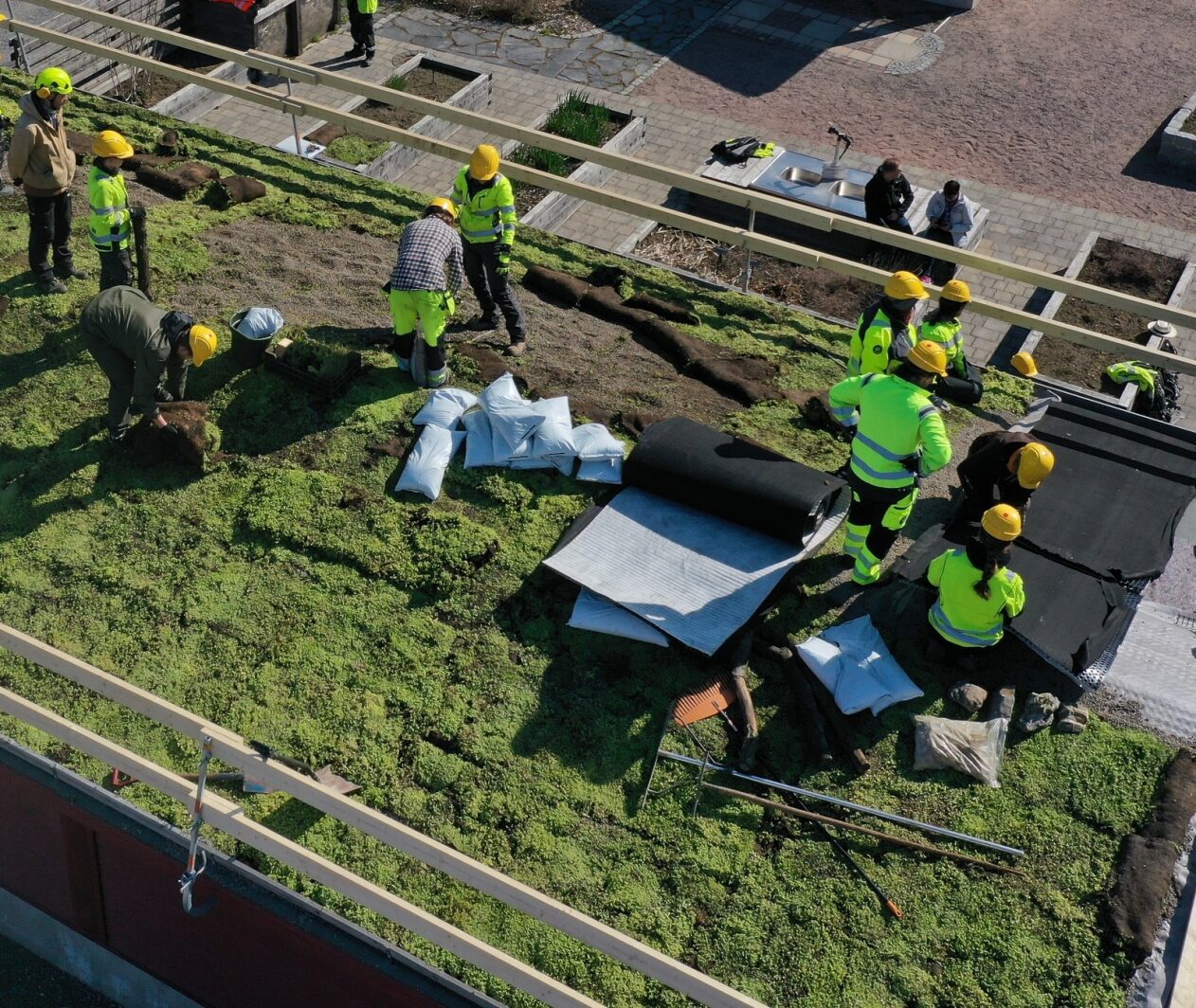 AhlmanEdu opiskelijat rakentavat viherkattoa